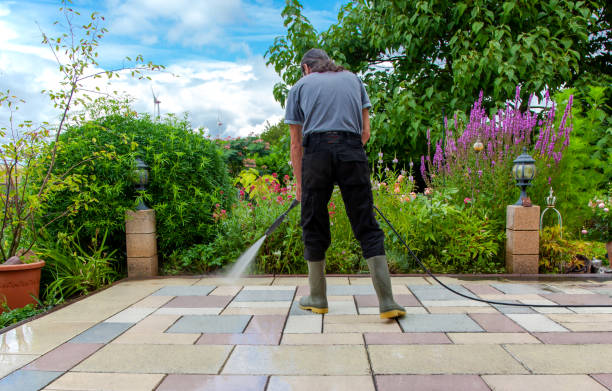 Professional Pressure Washing in Lake Delta, NY
